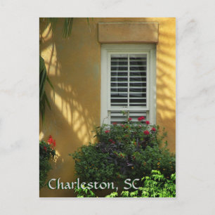 Carte postale Charleston Pinckney St.