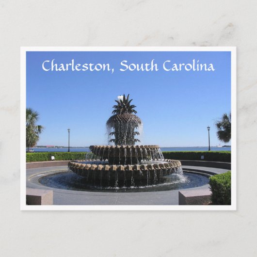 Carte postale Charleston SC Waterfront Park (Devant)