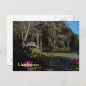 Carte postale Charleston Swamp Garden (Devant / Derrière)