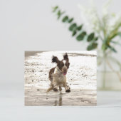 Carte Postale Charlie Le Springer ! (Debout devant)