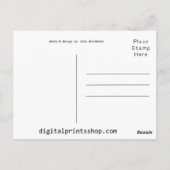 Carte Postale Charlotte NC (Dos)