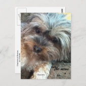 Carte postale Charlotte & Shadow Friends (Devant / Derrière)