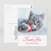 Carte Postale Charmant Chat Qui Mord le Chapeau de Père Noël Rou (Devant / Derrière)