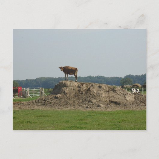 Carte postale charmante (Devant)