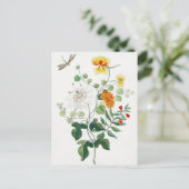 Carte postale Charming Still Life (Debout devant)