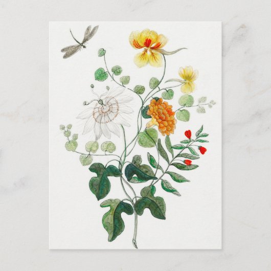 Carte postale Charming Still Life (Devant)