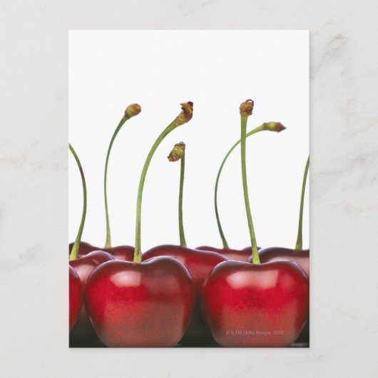 Carte Postale Charries tiré au premier plan de (Devant)