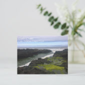 Carte Postale Chasme de Cook, Cape Perpetua, OU (Debout devant)