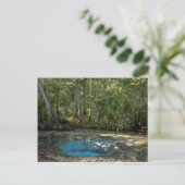 Carte Postale Chassahowitzka Springs, Floride. (Debout devant)