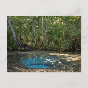 Carte Postale Chassahowitzka Springs, Floride.