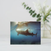 Carte Postale Chasse à la baleine (Debout devant)