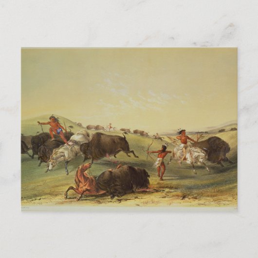Carte Postale Chasse au bison (Devant)