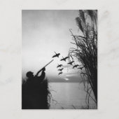 Carte Postale Chasse au canard (Devant)