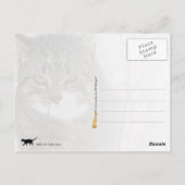 Carte Postale Chasse au chat Tabby dans la neige (Dos)