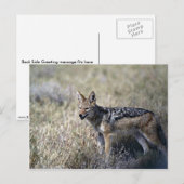 Carte Postale Chasse au Jackal (Devant / Derrière)