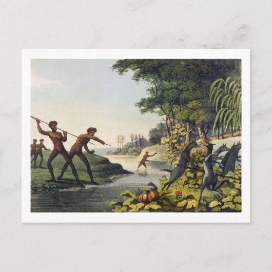 Carte Postale Chasse au Kangaroo, aborigines en Nouvelle-Galle d (Devant)