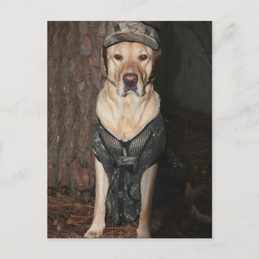 Carte postale Chasse au Laboratoire Jaune (Devant)