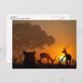 Carte Postale Chasse au lion (Devant / Derrière)