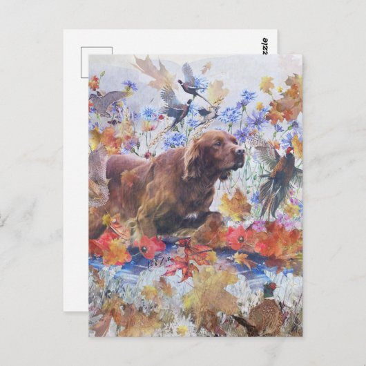 Carte Postale Chasse au Setter irlandais (Devant / Derrière)