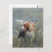 Carte Postale Chasse avec Epagneul Breton (Devant / Derrière)