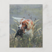 Carte Postale Chasse avec Epagneul Breton (Devant)