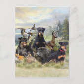 Carte Postale Chasse avec Jagdterriers, Art (Devant)