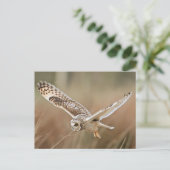 Carte Postale Chasse Chouette (Debout devant)