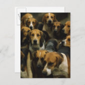 Carte Postale Chasse de foxhounds, Galway Blazers, Irlande (Devant / Derrière)