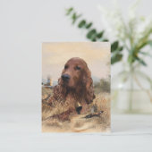 Carte Postale Chasse de Setter irlandais faisan, Art (Debout devant)