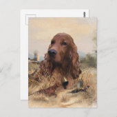 Carte Postale Chasse de Setter irlandais faisan, Art (Devant / Derrière)