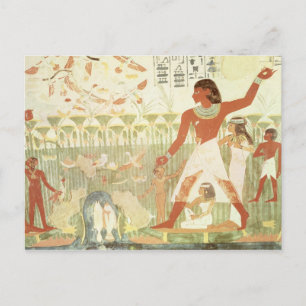 Carte Postale Chasse et pêche