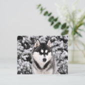 Carte Postale Chasse-neige (Debout devant)