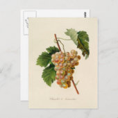 Carte postale Chasselat de Fontainebleau (Devant / Derrière)