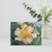 Carte Postale Chasser le Soleil II, Chasser le Soleil II (Debout devant)