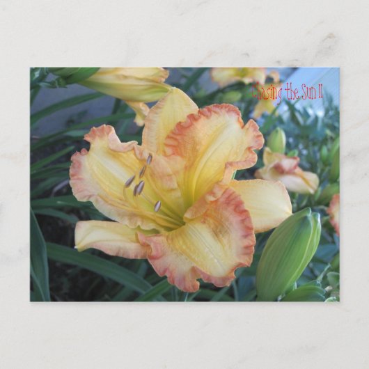 Carte Postale Chasser le Soleil II, Chasser le Soleil II (Devant)