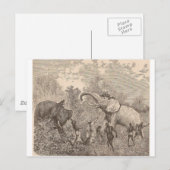 Carte Postale Chasser les éléphants (Devant / Derrière)