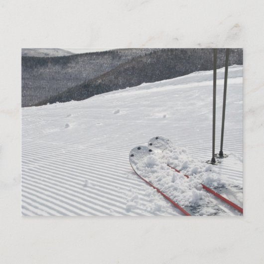 Carte Postale Chasseur (Devant)