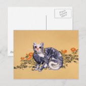 Carte Postale Chasseur d'été (Devant / Derrière)