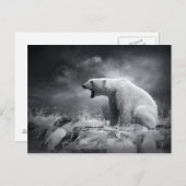 Carte Postale Chasseur d'ours blanc sur la glace dans l'eau (Devant / Derrière)