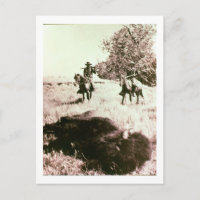 Chasseurs de bisons américains (photo de l'auteur)
