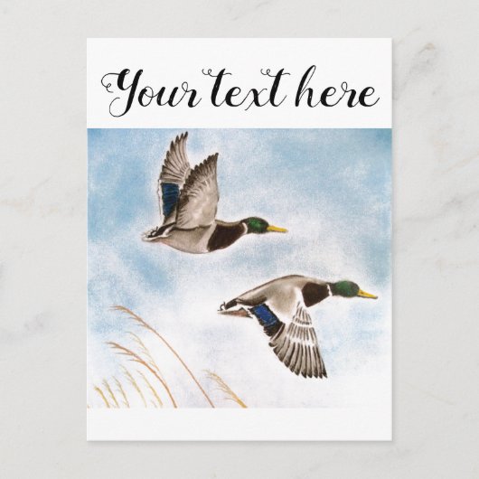 Carte Postale Chasseurs de canards (Devant)