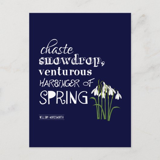 Carte Postale Chaste Snowdrop, Venturous Harbinger du printemps (Devant)