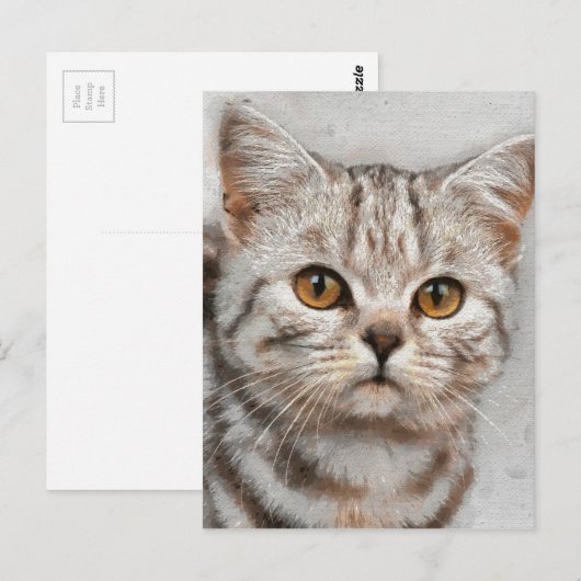 Carte Postale chat (Devant / Derrière)