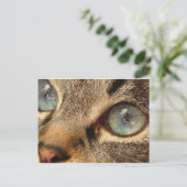 Carte Postale chat (Debout devant)