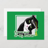 Carte Postale Chat (Devant / Derrière)