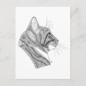 Carte Postale chat (Devant)