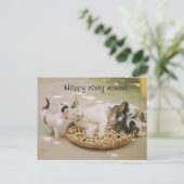 carte postale chat (Debout devant)