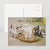 carte postale chat (Devant / Derrière)