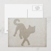 Carte Postale Chat (Devant / Derrière)
