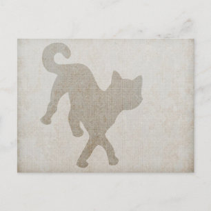 Carte Postale Chat
